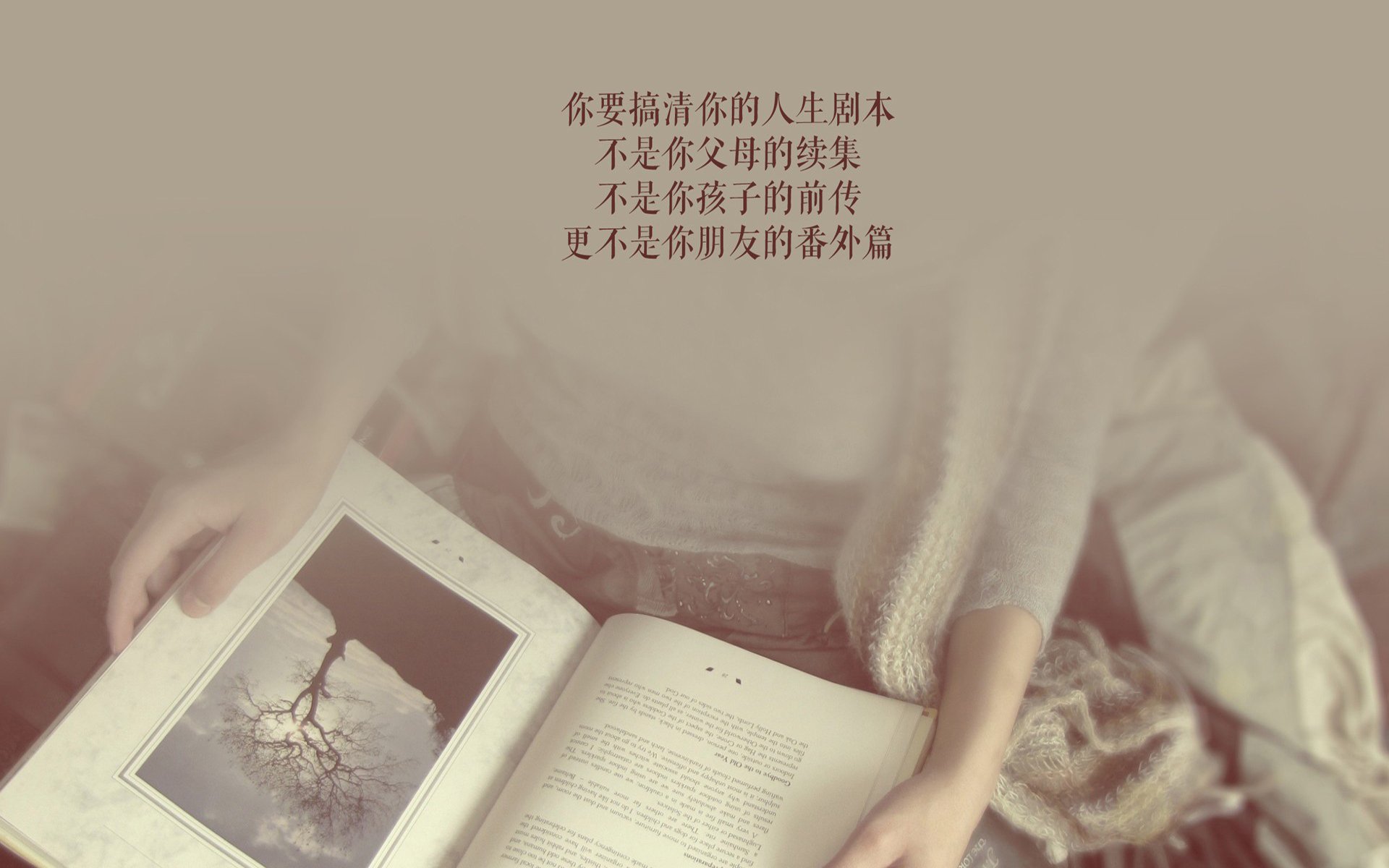 爱游戏网页版-英超裁判争议不断，影响比赛结果，英超裁判主队