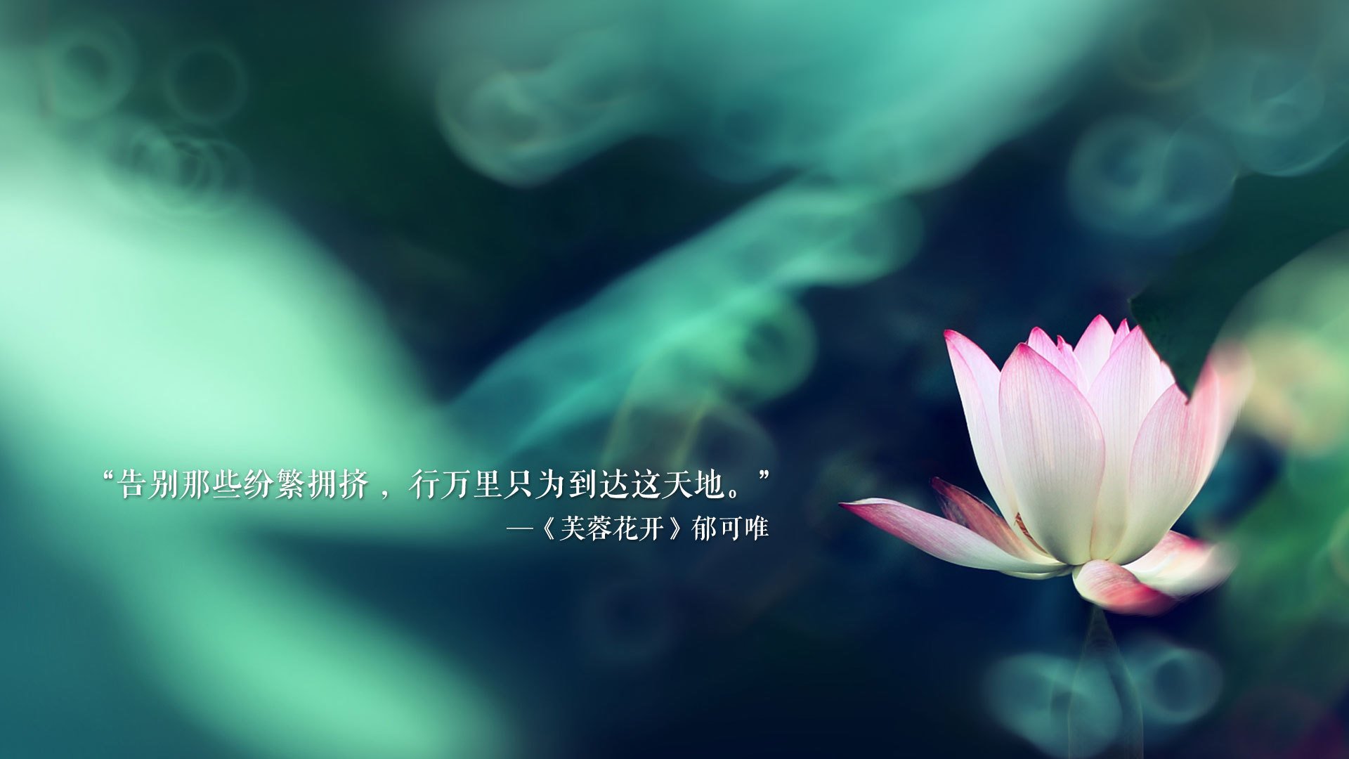 赛后采访：队长李明坦言“团队合作是取胜关键”！，李明足球个人资料