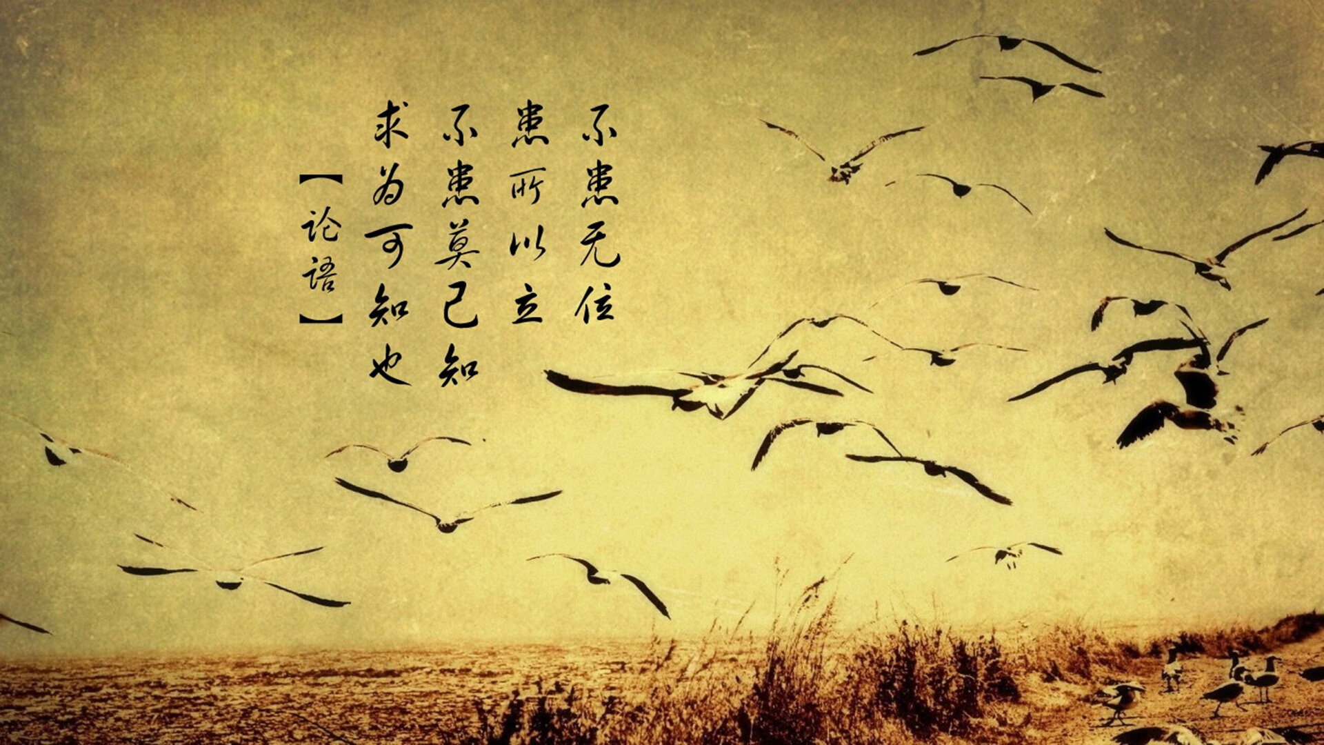 巴萨新星登场首秀破门,巴萨中场新星