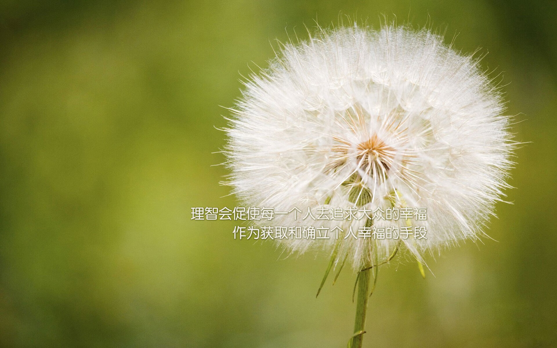 爱游戏体育-意甲裁判吹罚尺度变化对犯规判罚趋势的统计分析，意甲足球裁判