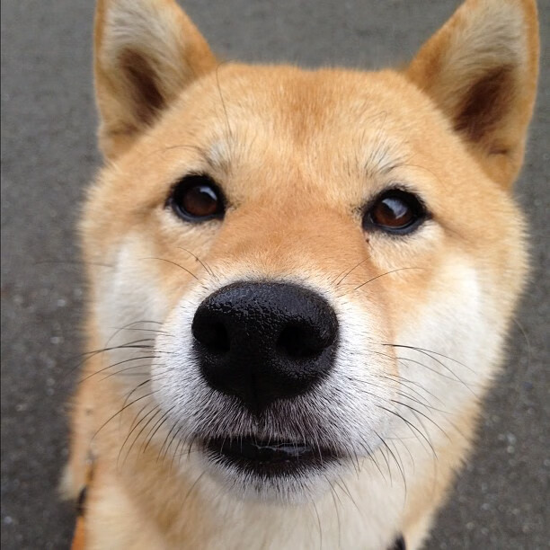 高校体育智能监控系统设计与应用,高校体育gps