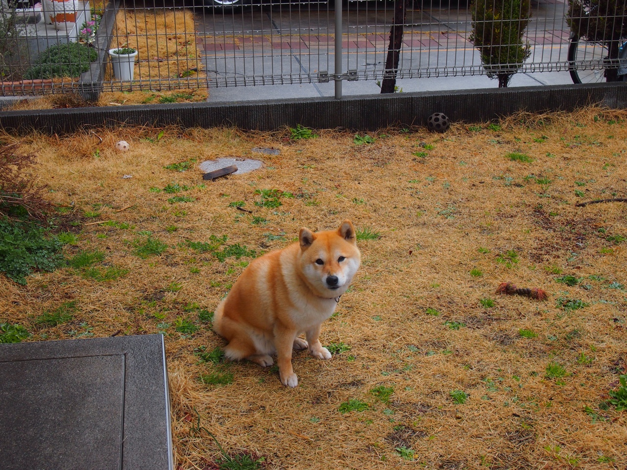 高校体育赛事观众体验优化策略,观看体育赛事的价值和意义