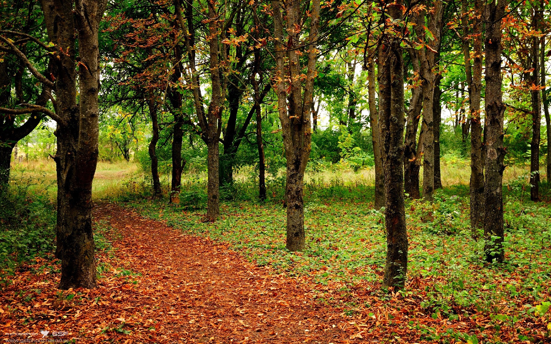 爱游戏娱乐-Chinese Taipei：2024年乒乓混合团体世界杯表现分析，2024年世乒赛