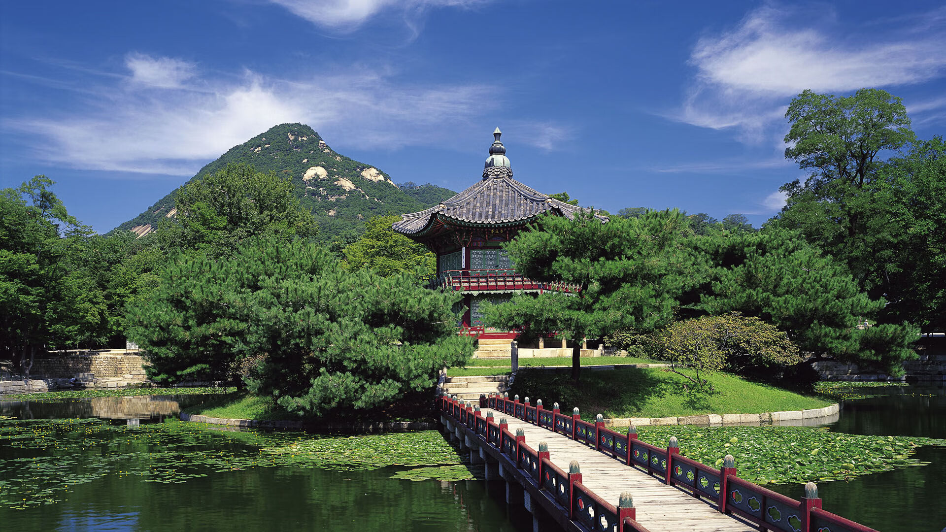 中国铁人三项运动协会发布新一届国家队名单,中国铁人三项运动协会发布新一届国家队名单