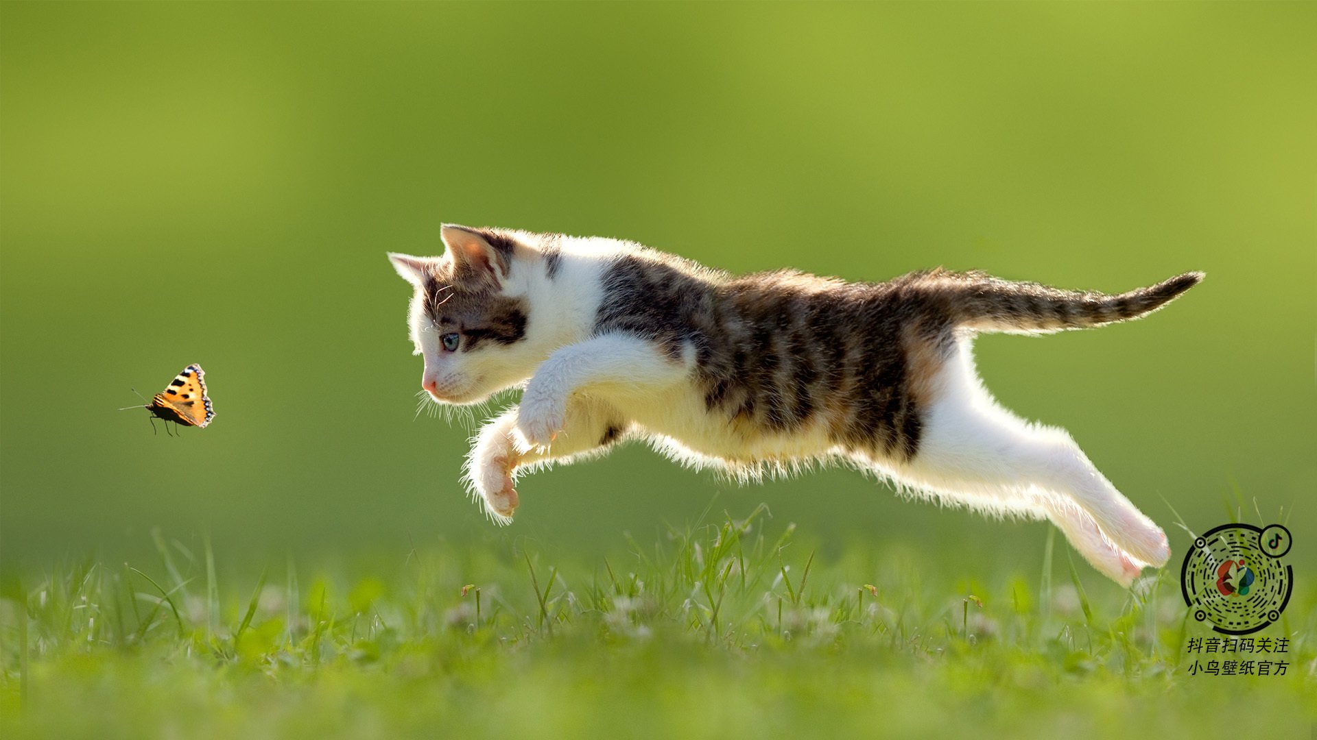 中超联赛国家队平局 球员状态有所回暖,中超国家队大名单