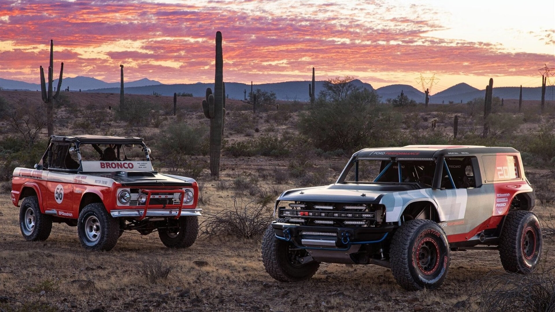 体测系统引入云端分析实现远程评估,10.0.102.230体测云成绩查询网址