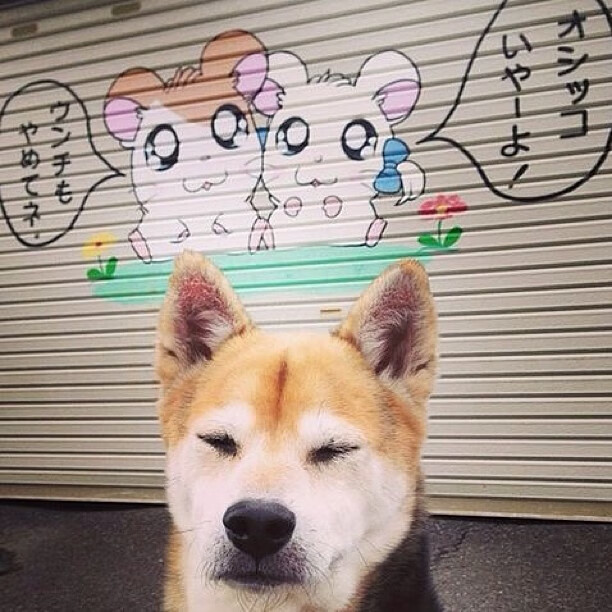 体育社团活动纳入综合素质评价体系,体育社团活动纳入综合素质评价体系吗