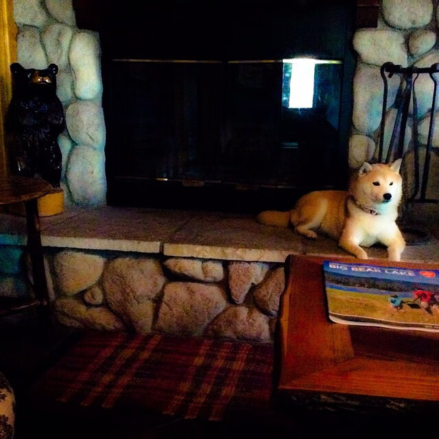 利物浦中后场衔接流畅助力前场创造,利物浦的中场球员