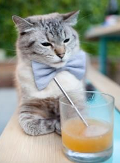 国家队心理辅导机制缺失风险,国家队心理辅导老师待遇