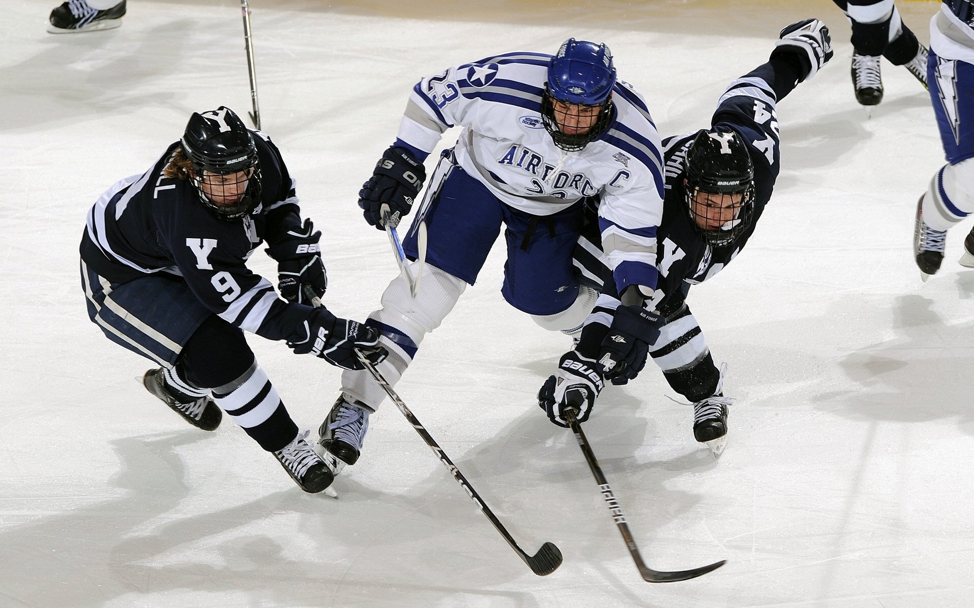 普拉提课程在全国健身场馆中占比提升，国内普拉提培训机构
